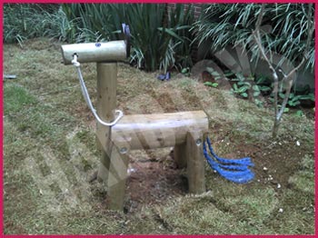 Cavalinho de eucalipto